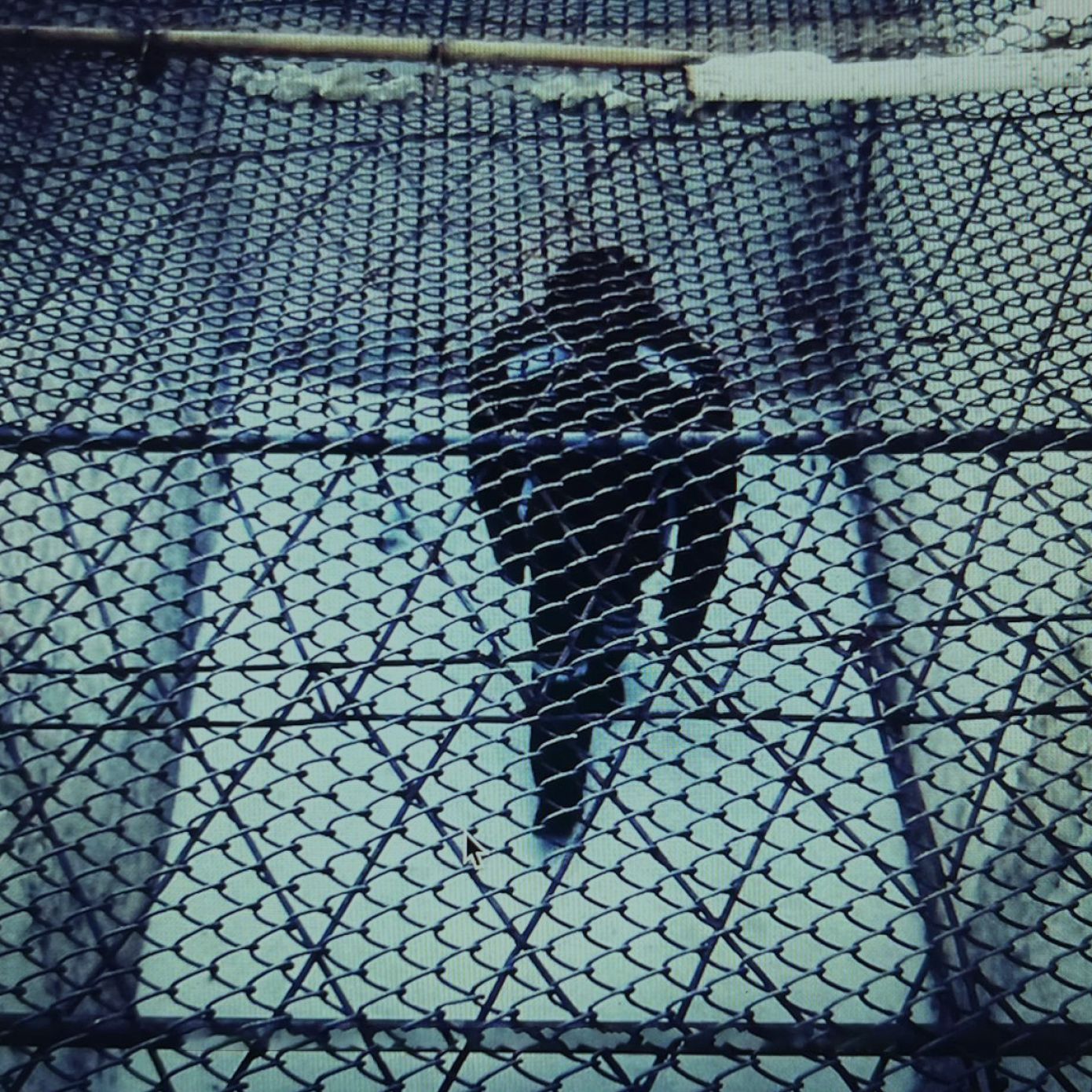 The Condemned